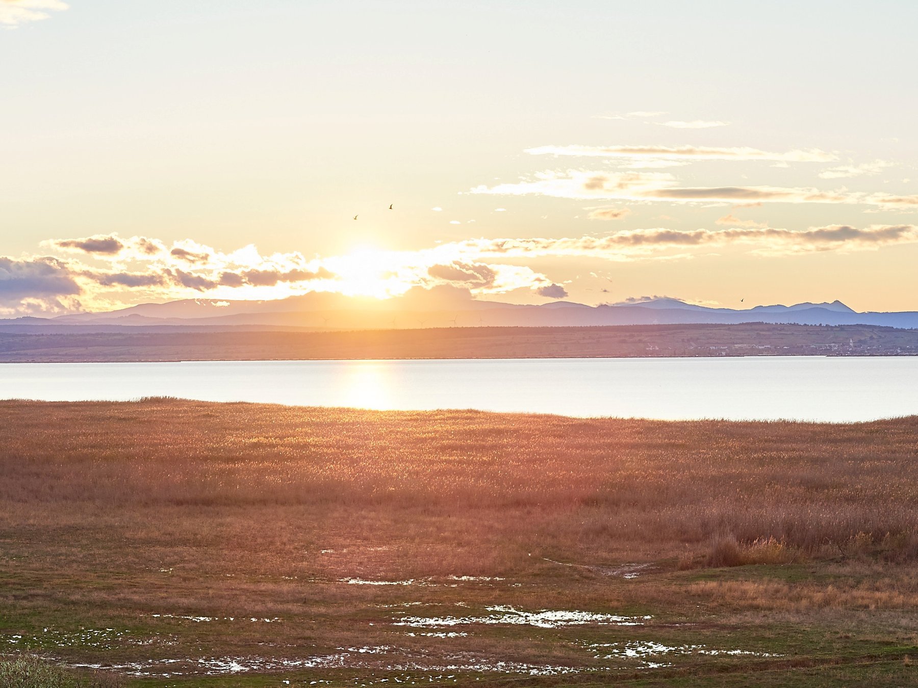 Sonnenuntergang über dem Neusiedlersee. © Burgenland Tourismus / Peter Podpera